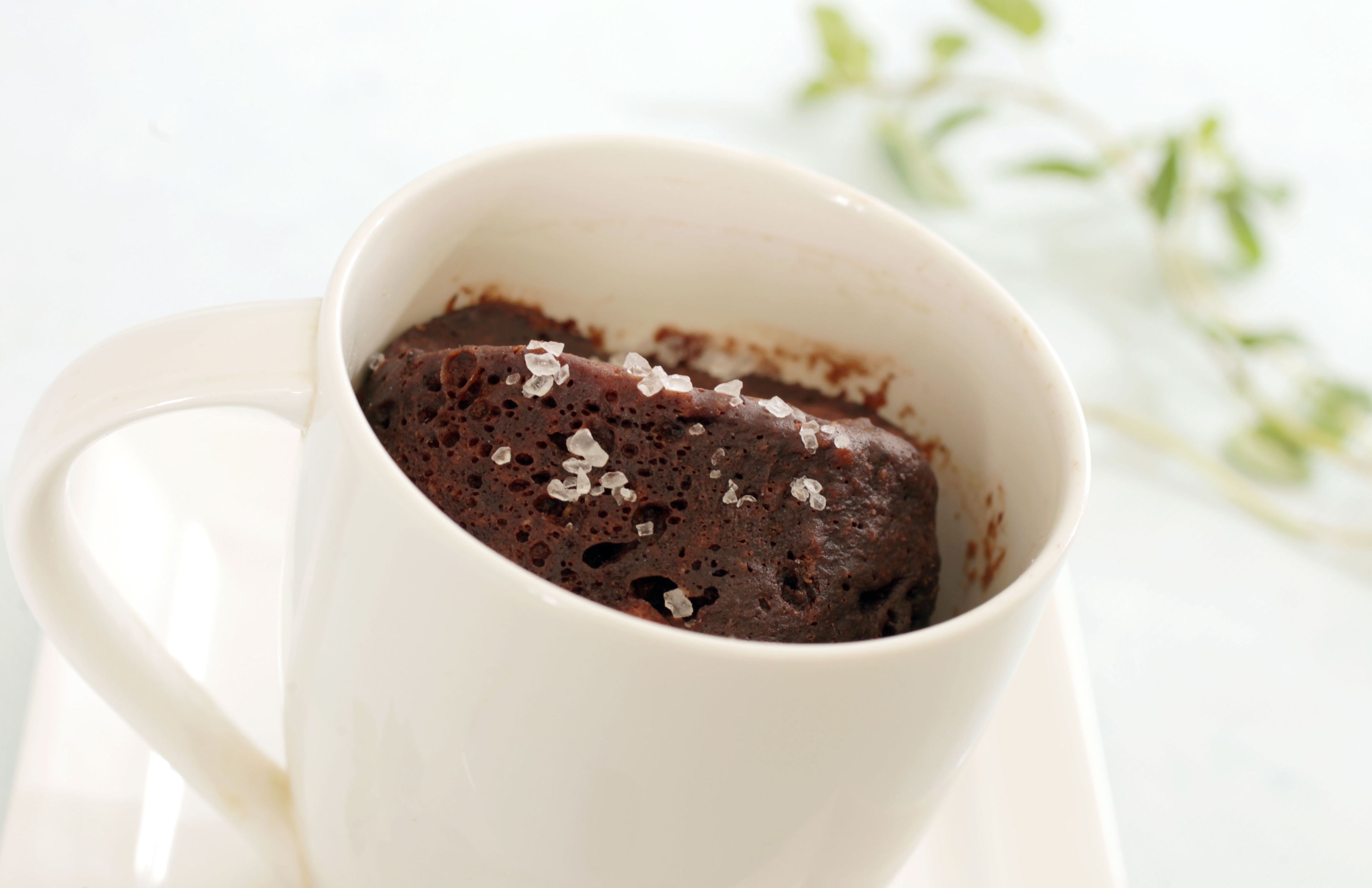 Chocolate Hazelnut Mug Cake