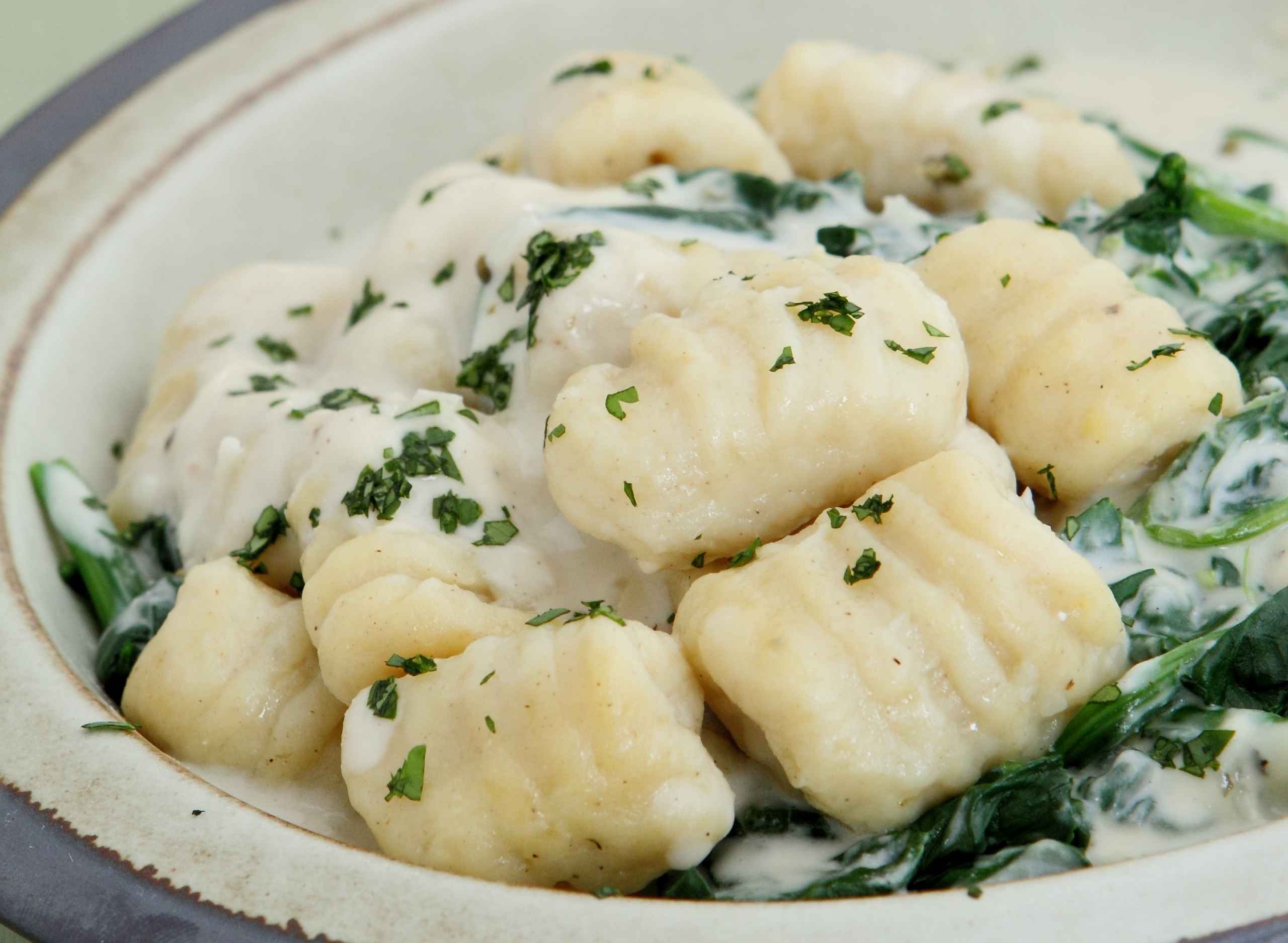 Gnocchi in Cheese Sauce