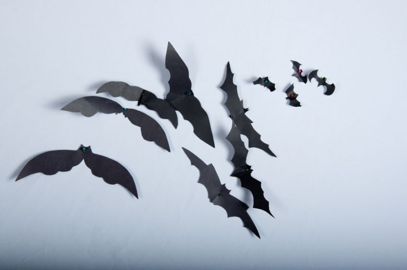 46622087 - cutted black paper bats pinned to white cloth